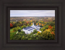 Load image into Gallery viewer, Palmyra and Sacred Grove Aerial
