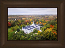 Load image into Gallery viewer, Palmyra and Sacred Grove Aerial
