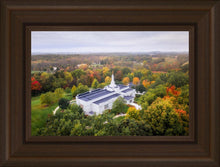 Load image into Gallery viewer, Palmyra and Sacred Grove Aerial
