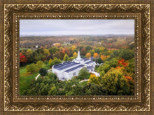 Load image into Gallery viewer, Palmyra and Sacred Grove Aerial
