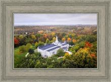 Load image into Gallery viewer, Palmyra and Sacred Grove Aerial
