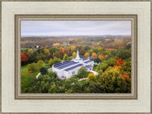 Load image into Gallery viewer, Palmyra and Sacred Grove Aerial
