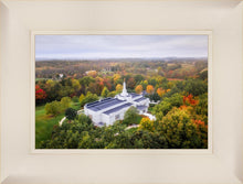 Load image into Gallery viewer, Palmyra and Sacred Grove Aerial
