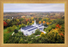 Load image into Gallery viewer, Palmyra and Sacred Grove Aerial
