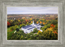 Load image into Gallery viewer, Palmyra and Sacred Grove Aerial
