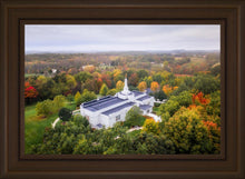 Load image into Gallery viewer, Palmyra and Sacred Grove Aerial
