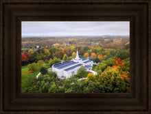 Load image into Gallery viewer, Palmyra and Sacred Grove Aerial
