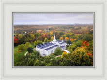Load image into Gallery viewer, Palmyra and Sacred Grove Aerial
