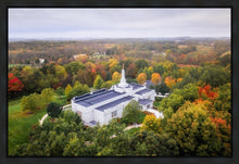 Load image into Gallery viewer, Palmyra and Sacred Grove Aerial
