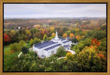Load image into Gallery viewer, Palmyra and Sacred Grove Aerial

