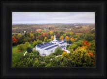 Load image into Gallery viewer, Palmyra and Sacred Grove Aerial
