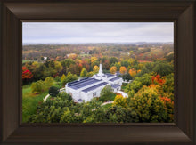 Load image into Gallery viewer, Palmyra and Sacred Grove Aerial
