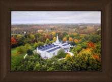 Load image into Gallery viewer, Palmyra and Sacred Grove Aerial
