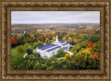 Load image into Gallery viewer, Palmyra and Sacred Grove Aerial
