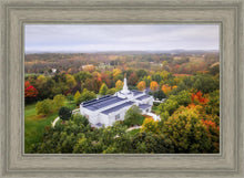 Load image into Gallery viewer, Palmyra and Sacred Grove Aerial
