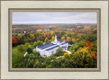 Load image into Gallery viewer, Palmyra and Sacred Grove Aerial
