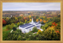 Load image into Gallery viewer, Palmyra and Sacred Grove Aerial
