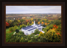 Load image into Gallery viewer, Palmyra and Sacred Grove Aerial
