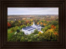 Load image into Gallery viewer, Palmyra and Sacred Grove Aerial
