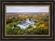 Load image into Gallery viewer, Palmyra and Sacred Grove Aerial
