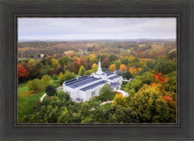 Load image into Gallery viewer, Palmyra and Sacred Grove Aerial
