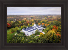 Load image into Gallery viewer, Palmyra and Sacred Grove Aerial
