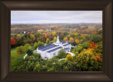 Load image into Gallery viewer, Palmyra and Sacred Grove Aerial
