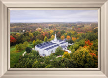 Load image into Gallery viewer, Palmyra and Sacred Grove Aerial
