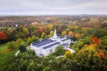 Load image into Gallery viewer, Palmyra and Sacred Grove Aerial
