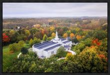 Load image into Gallery viewer, Palmyra and Sacred Grove Aerial
