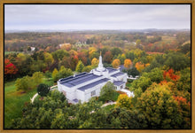 Load image into Gallery viewer, Palmyra and Sacred Grove Aerial
