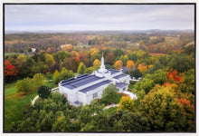Load image into Gallery viewer, Palmyra and Sacred Grove Aerial
