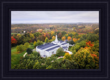 Load image into Gallery viewer, Palmyra and Sacred Grove Aerial
