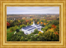 Load image into Gallery viewer, Palmyra and Sacred Grove Aerial
