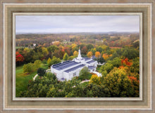 Load image into Gallery viewer, Palmyra and Sacred Grove Aerial
