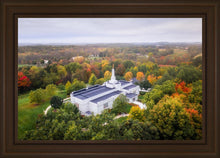 Load image into Gallery viewer, Palmyra and Sacred Grove Aerial
