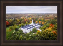 Load image into Gallery viewer, Palmyra and Sacred Grove Aerial
