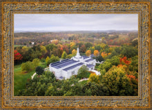 Load image into Gallery viewer, Palmyra and Sacred Grove Aerial
