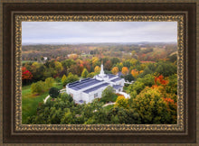 Load image into Gallery viewer, Palmyra and Sacred Grove Aerial
