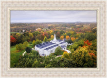 Load image into Gallery viewer, Palmyra and Sacred Grove Aerial
