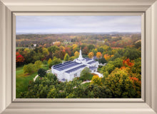 Load image into Gallery viewer, Palmyra and Sacred Grove Aerial
