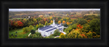 Load image into Gallery viewer, Palmyra and Sacred Grove Aerial
