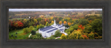 Load image into Gallery viewer, Palmyra and Sacred Grove Aerial
