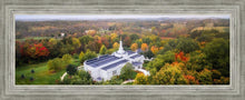 Load image into Gallery viewer, Palmyra and Sacred Grove Aerial
