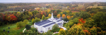 Load image into Gallery viewer, Palmyra and Sacred Grove Aerial
