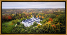 Load image into Gallery viewer, Palmyra and Sacred Grove Aerial
