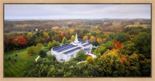 Load image into Gallery viewer, Palmyra and Sacred Grove Aerial
