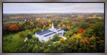Load image into Gallery viewer, Palmyra and Sacred Grove Aerial
