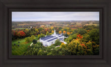 Load image into Gallery viewer, Palmyra and Sacred Grove Aerial
