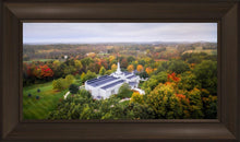 Load image into Gallery viewer, Palmyra and Sacred Grove Aerial
